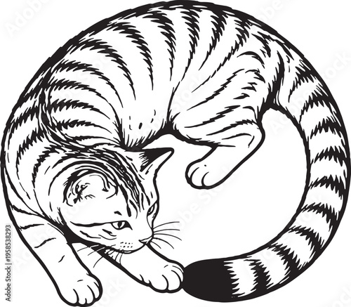 American Shorthair Cat Chasing Tail Circle Pose Black and White Line Art Illustration