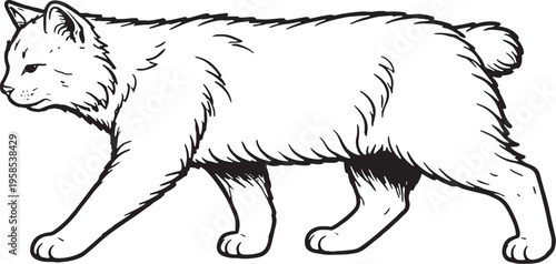 Quadro su tela American Bobtail Cat Walking Side Profile Black and White Line Art
