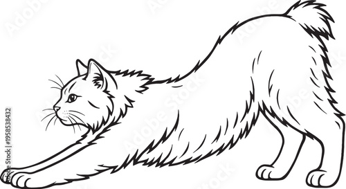 Obraz na plátně American Bobtail Cat Stretching Forward Black and White Line Art
