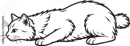 American Bobtail Cat Pouncing Low Crouch Black and White Line Art