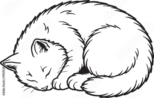 Foto American Bobtail Cat Sleeping Curled Top View Black and White Line Art