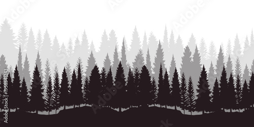 Pine trees silhouette in a forest. Spruce nature landscape. Evergreen coniferous vector. Seamless composition isolated on white background