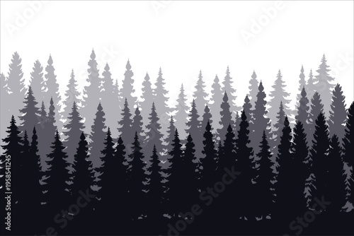 Pine trees silhouette in a forest. Spruce nature landscape. Evergreen coniferous vector. Seamless composition isolated on white background