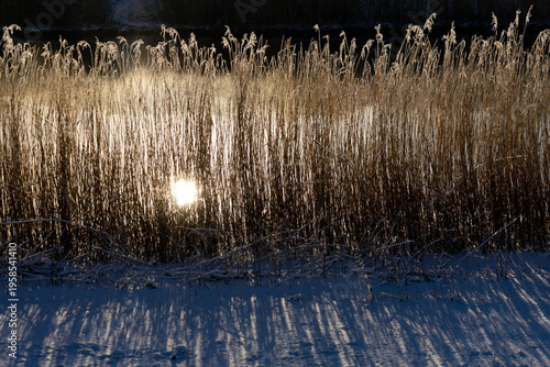 Golden hour at Wadden Sea National Park: Misty winter sunrise over Danish marshland and river 