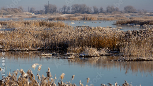 Golden hour at Wadden Sea National Park: Misty winter sunrise over Danish marshland and river 