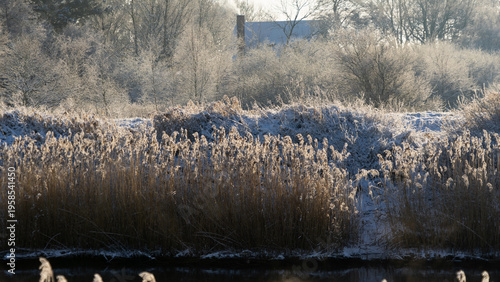 Golden hour at Wadden Sea National Park: Misty winter sunrise over Danish marshland and river 
