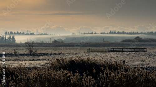 Golden hour at Wadden Sea National Park: Misty winter sunrise over Danish marshland and river 
