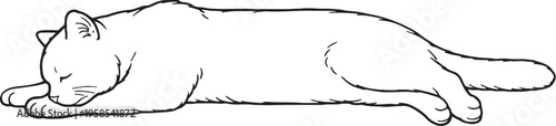 Scottish Straight Cat Sleeping Stretched Out Side View Black and White Line Art Illustration