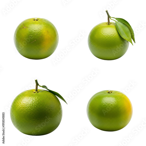 Four green oranges isolated on white background