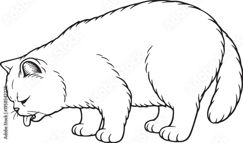 Exotic Shorthair Cat Drinking Side View Line Art Black White Cat Behavior Illustration