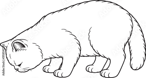 Exotic Shorthair Cat Eating Side View Line Art Black White Pet Behavior Illustration