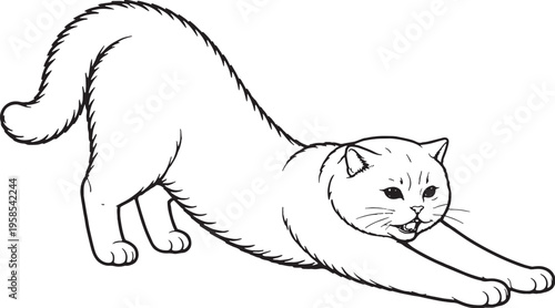 British Shorthair cat stretching forward side view black and white line art isolated
