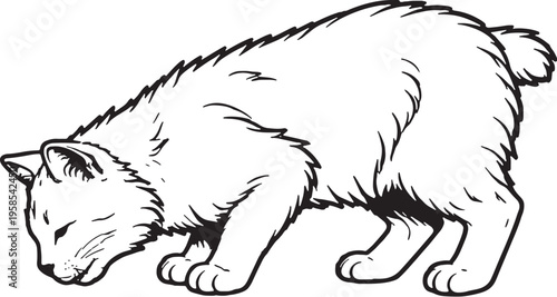 Obraz na plátně American Bobtail Cat Drinking Side View Black and White Line Art