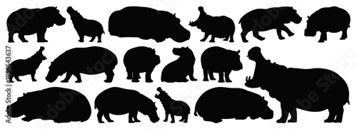 Hippopotamus Silhouette Set with Multiple Hippo Poses for African Wildlife Design Isolated on Transparent Background