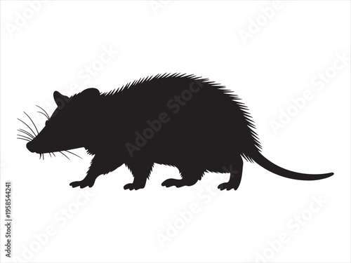 Silhouette of a rat, Rat Silhouette Rodent Animal Pest Wildlife Vector Illustration