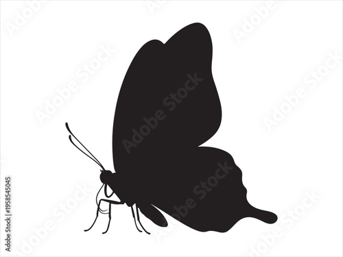 Flying butterfly  silhouette, Vector butterfly icon, Butterfly Silhouette Insect Nature Wildlife Vector Illustration