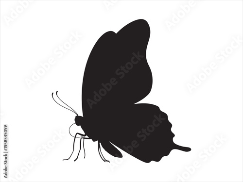 Flying butterfly  silhouette, Vector butterfly icon, Butterfly Silhouette Insect Nature Wildlife Vector Illustration
