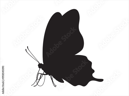 Flying butterfly  silhouette, Vector butterfly icon, Butterfly Silhouette Insect Nature Wildlife Vector Illustration