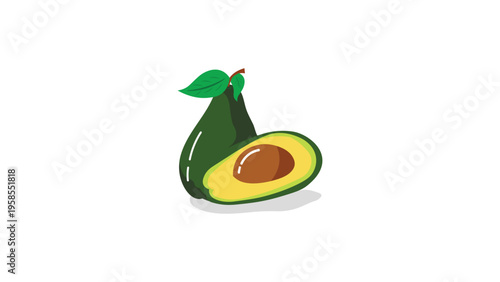 avocado fruit vector green color 