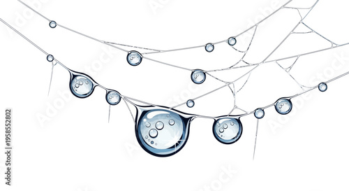 Cobweb with dew drops on a white background