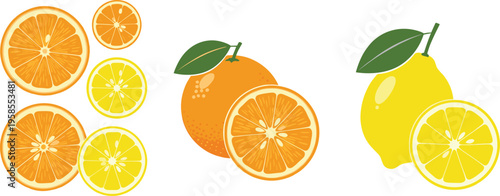 Citrus fruit illustration set featuring orange and lemon slices, whole fruits, and fresh juicy segments in bright flat vector style