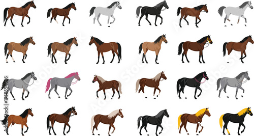 Horse Breeds Collection Set with Running and Standing Horses in Different Colors and Poses for Equestrian Design Farm Animals Illustration Pack