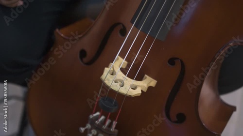 Detail and Close up of cello 