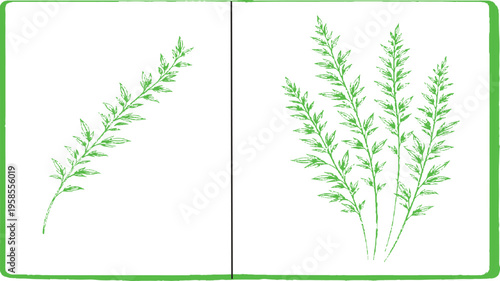 Botanical Harmony: A minimalist illustration of vibrant green sprigs, exuding freshness and natural elegance against a subtle backdrop. 