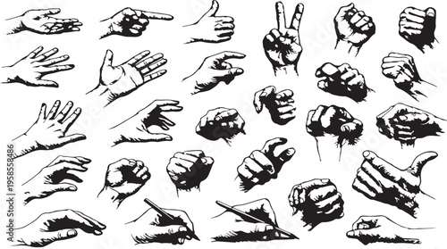 Hand Gestures Illustration: A comprehensive collection of hand gestures rendered in a monochromatic artistic style, illustrating various hand movements and expressions.