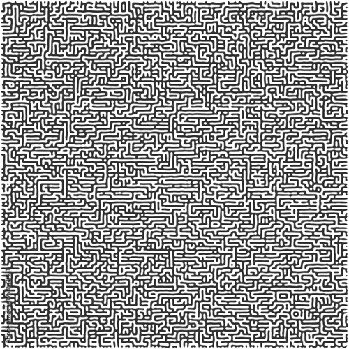 Fotografie Intricate Square Maze Pattern Filling the Entire Frame, Complex Black and White