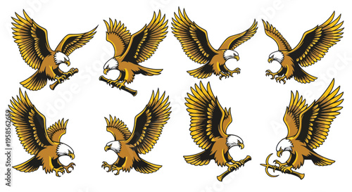 Majestic Eagle Collection: Diverse Poses of Birds of Prey in Flight and Perched