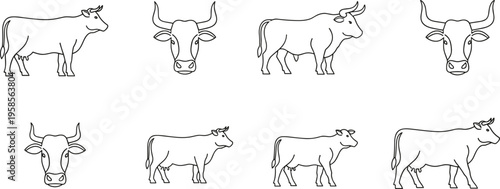 Cow line drawings, black and white illustration, front and side views, horned cattle sketches, farm animal artwork, livestock breed variations, agriculture concept, educational design resource