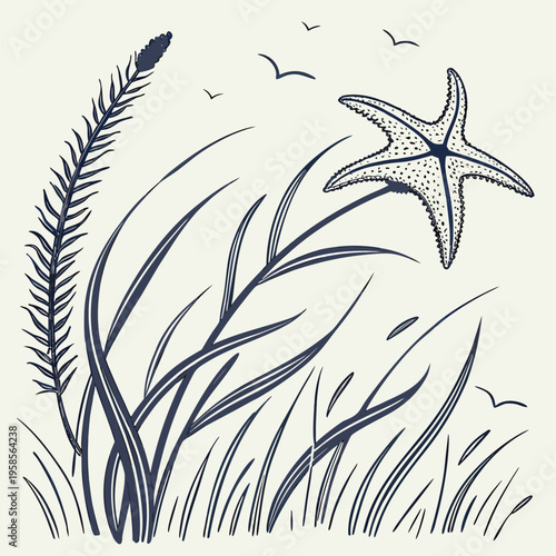 Vector illustration of starfish and sea grass, ocean elements