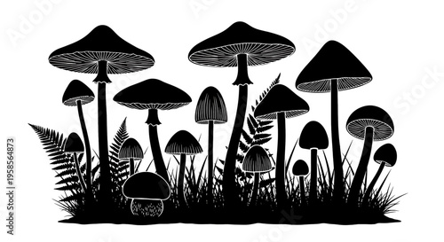 Black and white illustration of various mushrooms and ferns in a forest floor scene fungi woodland silhouette fern grass fungal nature outdoors botany mycology mushroom