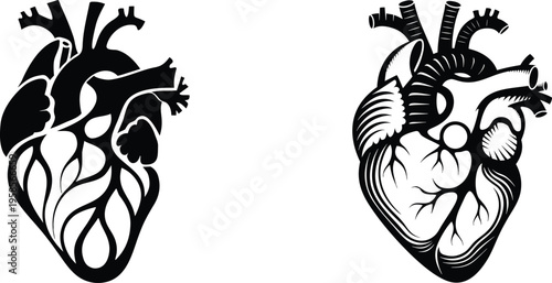 Human anatomical heart and cardiology health vector icons