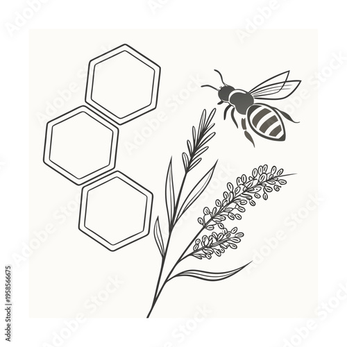 Vector illustration of bee, honeycomb and lavender branch