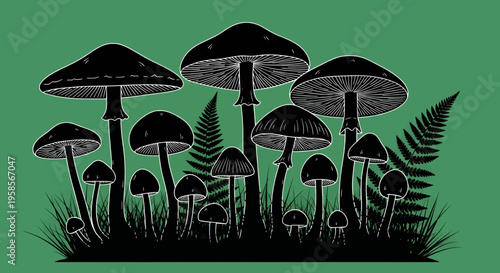 Black and white illustration of various mushrooms on a green background with ferns and grass fungi forest nature fern fungal spores botany wildlife environment ecosystem