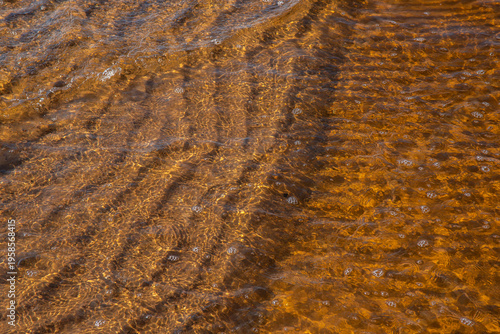 Sunlit shallow water over sandy bottom creating golden ripples, bubbles, and natural abstract texture.
