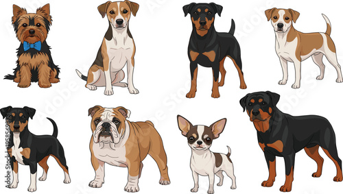 Dog breeds collection with different domestic pets including bulldog chihuahua rottweiler and terrier vector illustration set