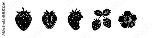Distinct strawberry and flower set in outline style. Strawberry, Flower and Black Monochrome Icon Set. High quality stock illustration with clear subject focus, cohesive composition, and versatile.
