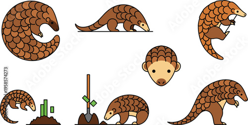 Flat Pangolin Animal Pose Set Featuring Different Curling Walking Digging and Standing Positions with Wildlife Illustration for Nature and Conservation Design