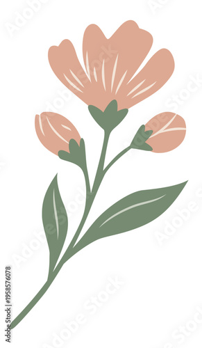 Pink Flower Stem Illustration