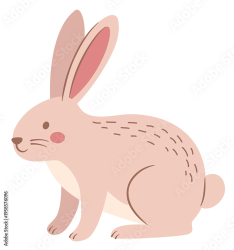 Pink Rabbit Illustration