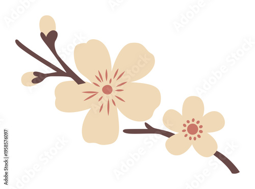 Spring Sakura Flowers Illustration