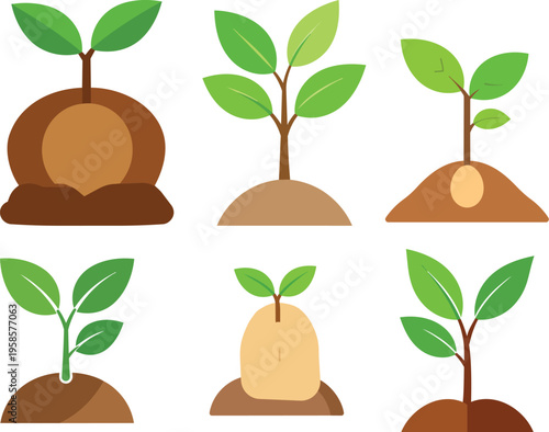 Set of Growing Plant Seedlings and Saplings in Soil for Gardening and Eco Concepts