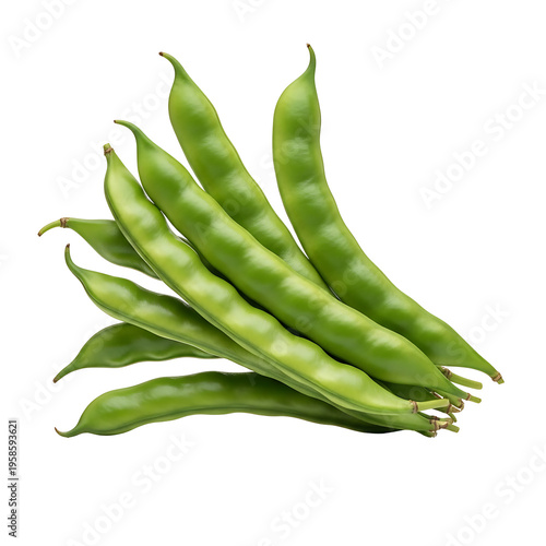 fresh green beans