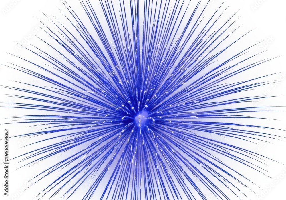 Fototapeta premium Blue burst isolated on white background