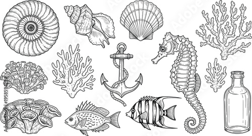 Large collection of vintage hand drawn nautical elements featuring seahorse anchor shells coral fish and bottle for maritime logos coastal branding and seafood menus