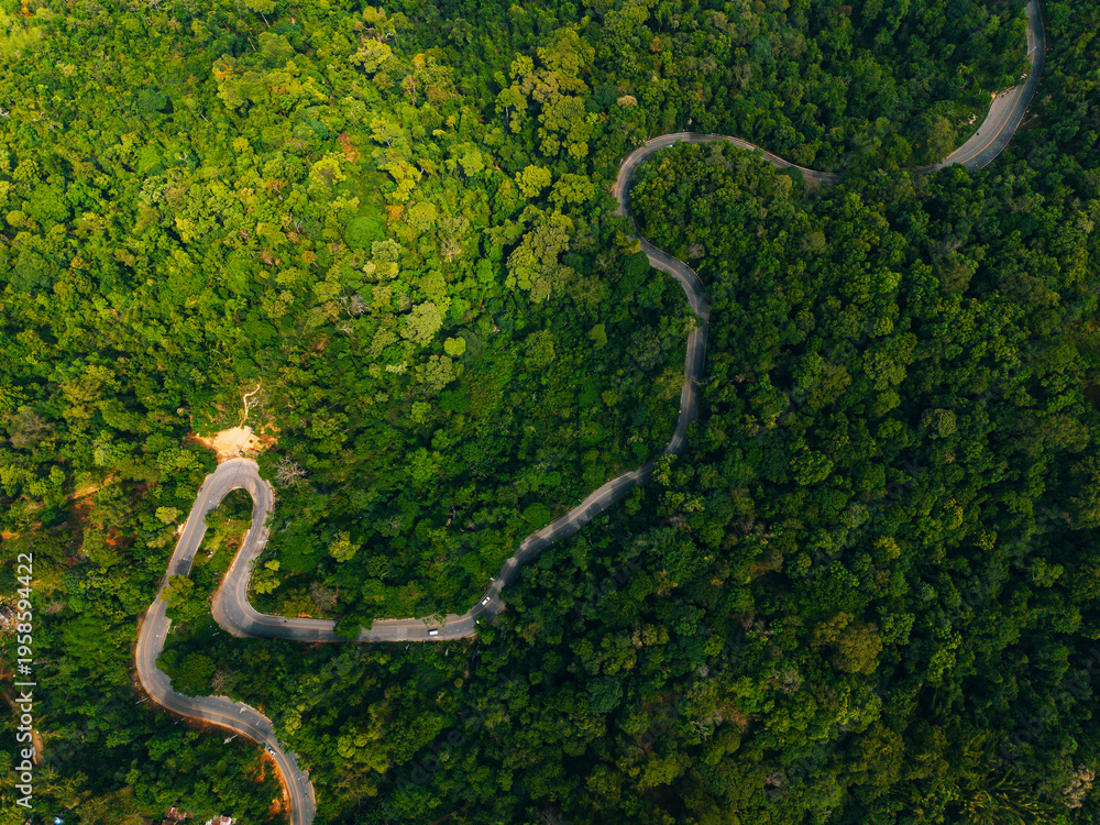Fototapeta premium Sinuous mountain road twisting through lush forest canopy aerial