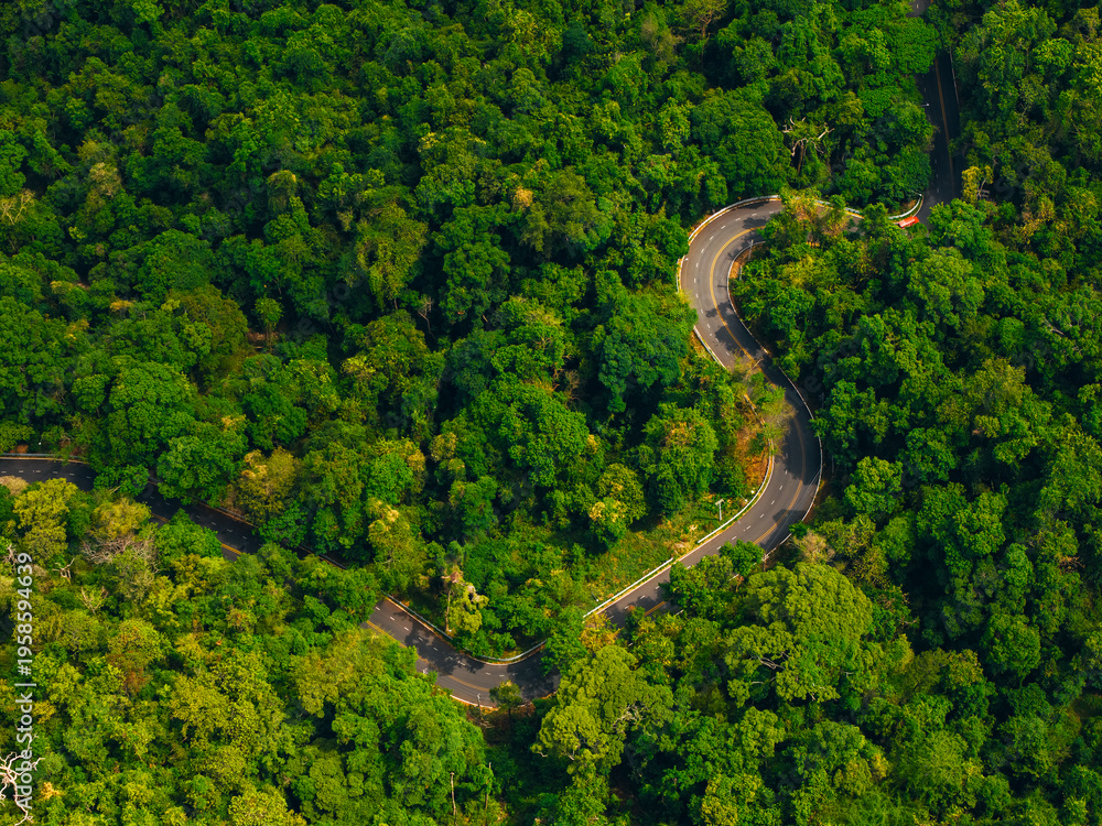 Obraz premium Aerial view of curved paved road through forest canopy, travel trip on car in Thailand concept